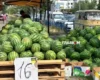 У Києві 22-23 серпня відбудуться продуктові ярмарки: адреси