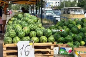 У Києві 22-23 серпня відбудуться продуктові ярмарки: адреси