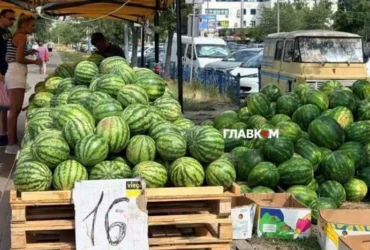 У Києві 22-23 серпня відбудуться продуктові ярмарки: адреси