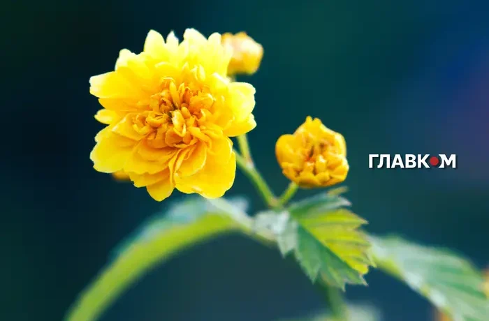 Україну в найближчі два дні очікує черговий різкий температурний стрибок