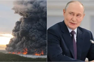 Wildberries згорів на 500 млрд. Путін каже: нічого критичного