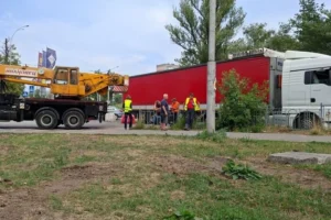 Вирубка дерев на Теремках: влада пояснила появу важкої техніки біля парку