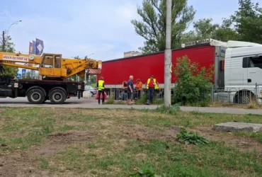 Вирубка дерев на Теремках: влада пояснила появу важкої техніки біля парку