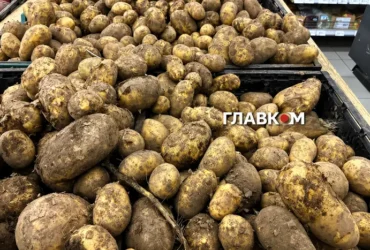 Експертка порадила у жовтні зробити запаси найпопулярнішого овоча