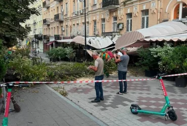 На терасу відомого ресторану в центрі Києва впав каштан (фото)