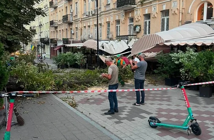 На терасу відомого ресторану в центрі Києва впав каштан (фото)