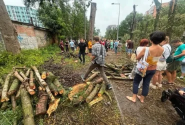 «Іншого коридору немає». Влада пояснила вирубку дерев під тепломережу на Теремках
