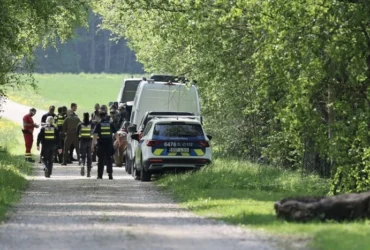 Український чи російський? Латвія встановила походження дрона, збитого 14 серпня