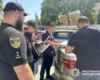 Поліція викрила шахраїв, які під час ефірів у TikTok виманювали гроші в українців