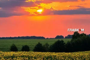 Після спеки Україну освіжить прохолода: погода на 9 серпня 2026 року