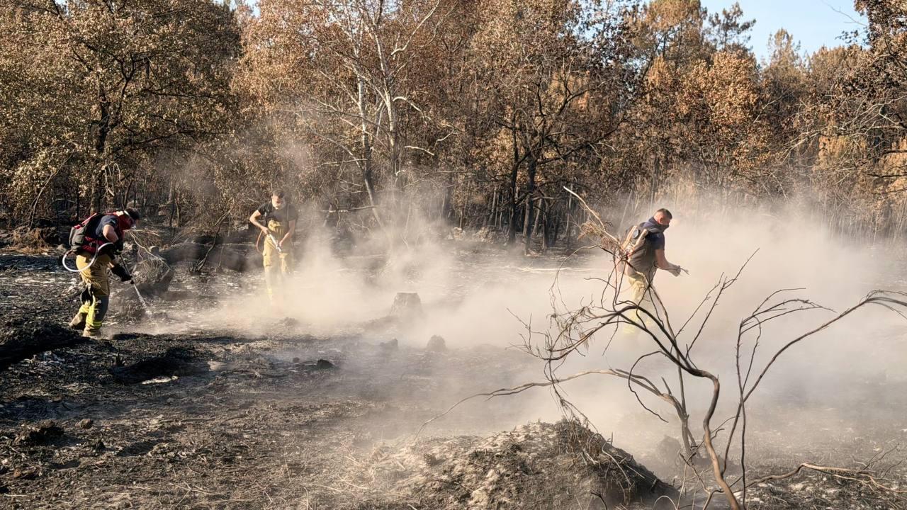 Українські рятувальники розпочали гасіння пожежі у Франції фото 3