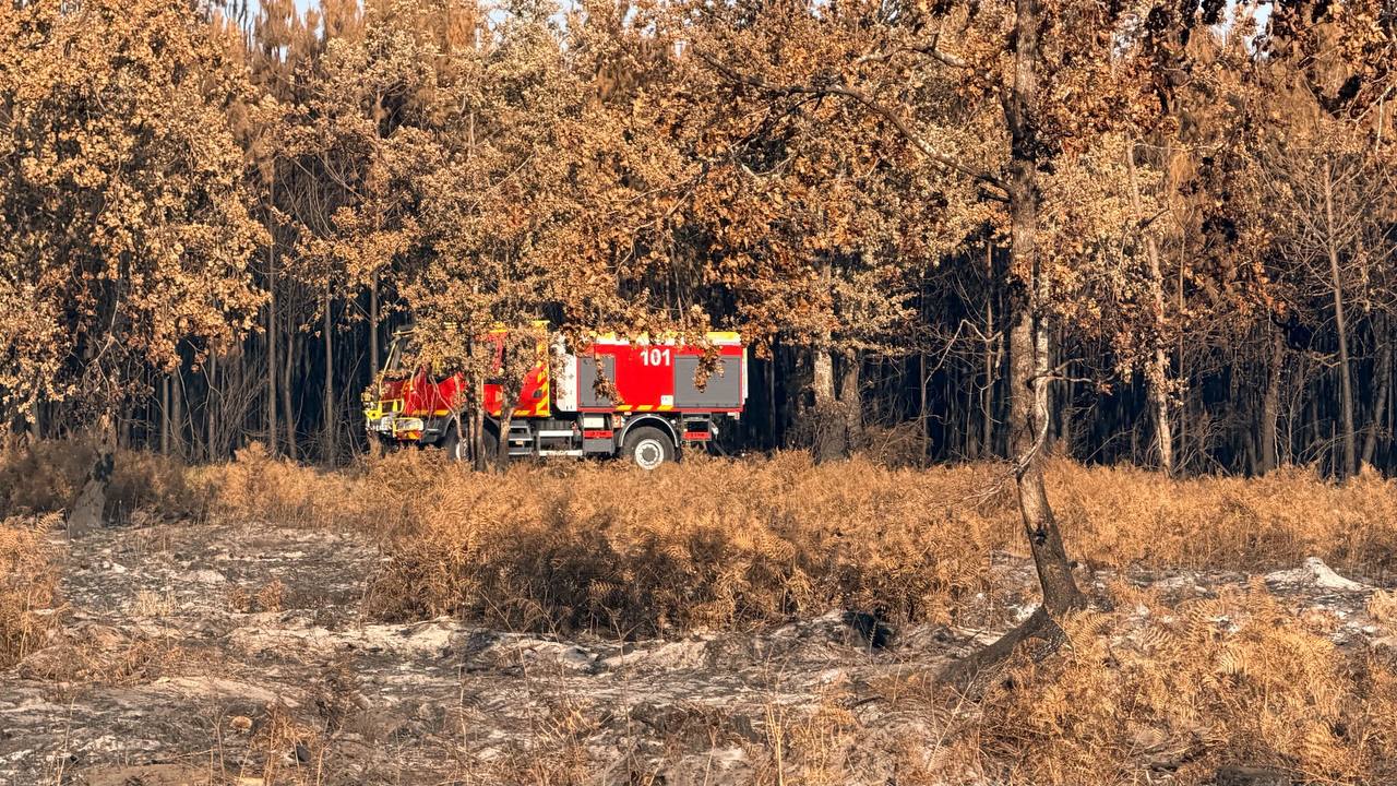 Українські рятувальники розпочали гасіння пожежі у Франції фото 4
