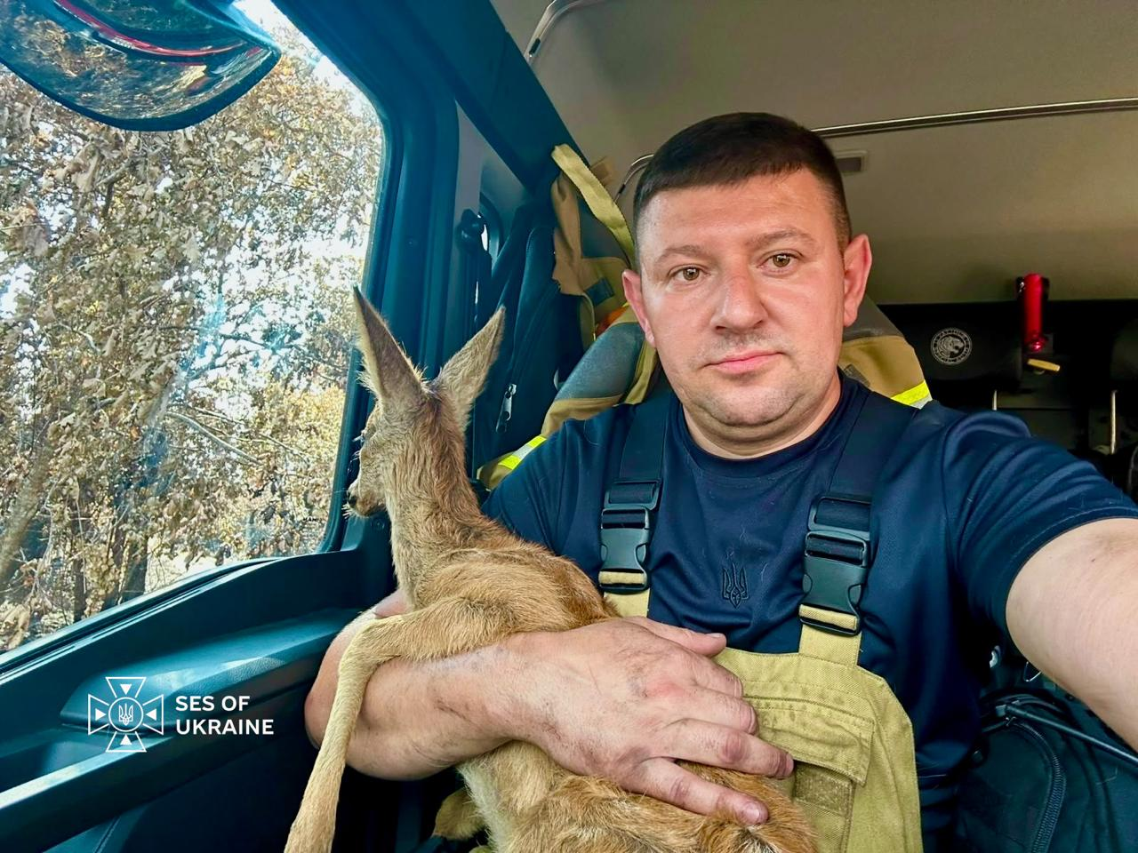 Українські надзвичайники врятували козулю під час ліквідації пожежі у Франції фото 2