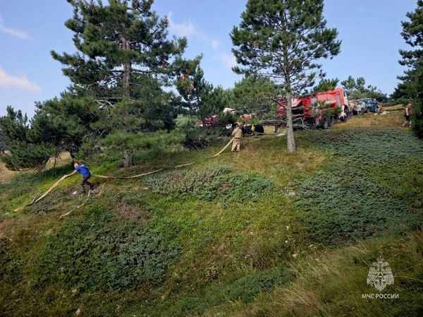 В окупованій Ялті шостий день триває масштабна лісова пожежа фото 1