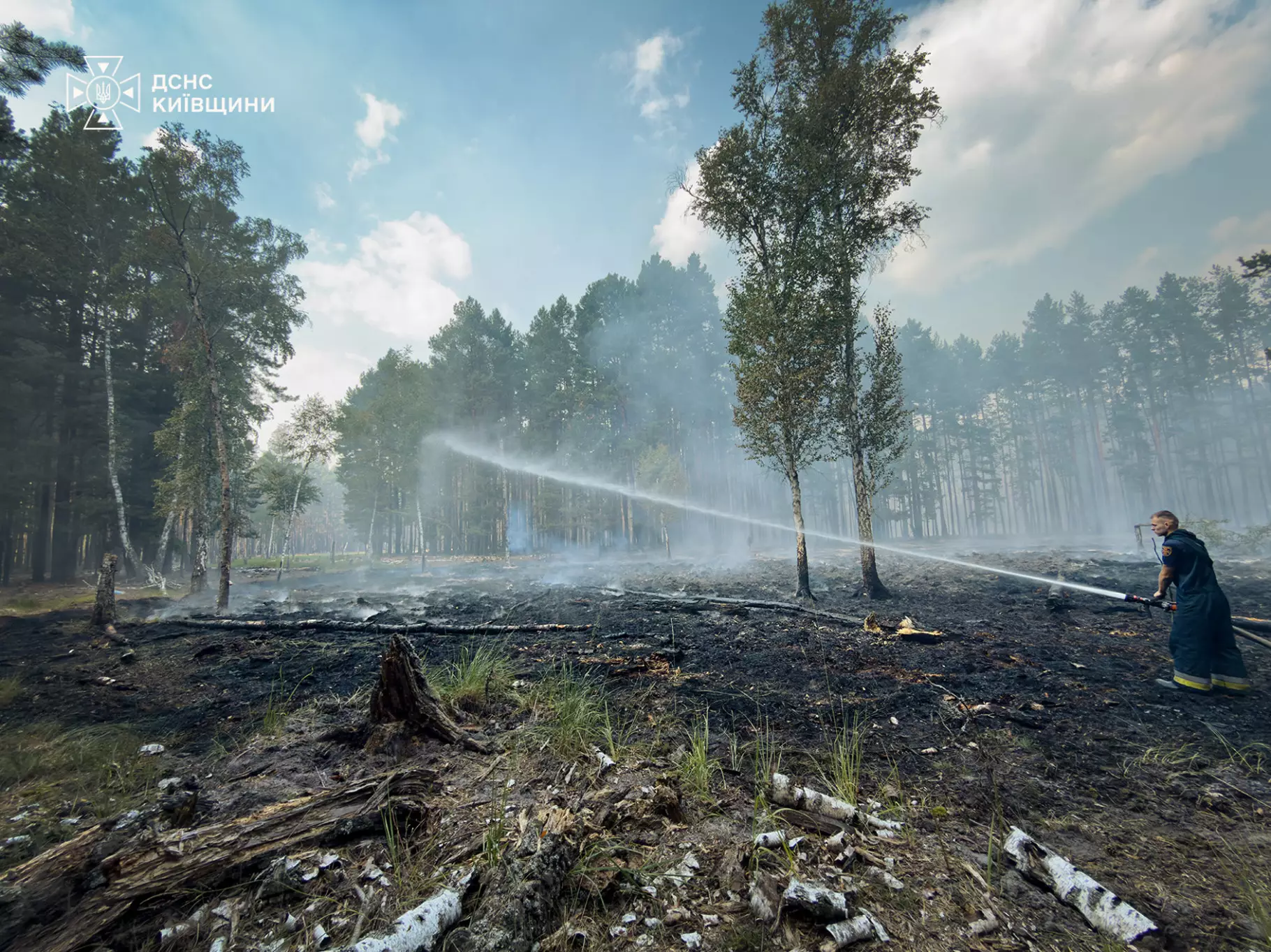 В Богданівському лісництві горить лісова підстилка