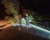 У Шевченківському районі дерево впало на дорогу та обірвало лінію електропередачі (фото)