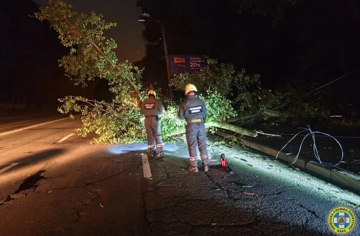 У Шевченківському районі дерево впало на дорогу та обірвало лінію електропередачі (фото)