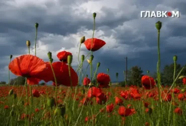Синоптики повідомили, коли в Україні різко погіршиться погода