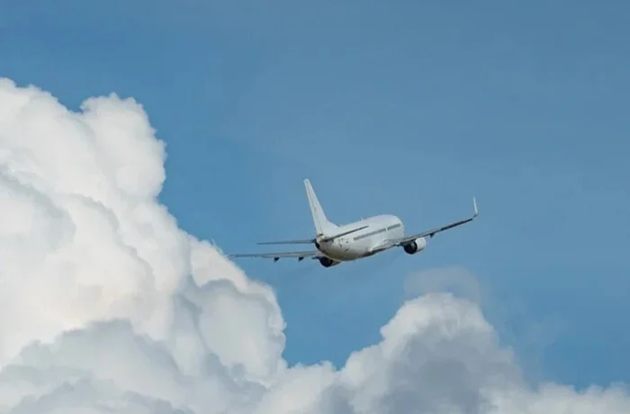 Стало відомо, хто посадив літак Flydubai після нападу на капітана