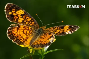 В Україні тепла неділя без дощів: погода на 20 вересня 2026 року
