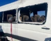 Смертельний удар по рейсовому автобусу на Нікопольщині: рятувальники показали наслідки