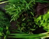 В Україні подорожчала зелень