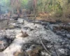 У Румунії виявлено уламки ймовірного БпЛА