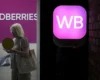 Атаки на склади Wildberries та Ozon: пораховано збитки компаній