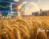 Планету накриває харчова інфляція. Як змінилися за тиждень ціни на зерно в Україні та світі