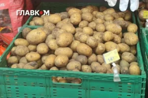 Картопля в Україні подешевшала: скільки коштує популярний овоч