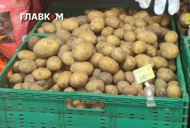 Картопля в Україні подешевшала: скільки коштує популярний овоч