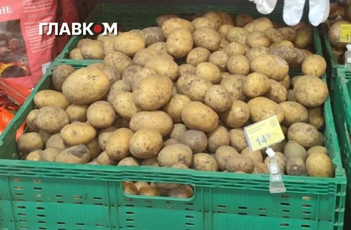 Картопля в Україні подешевшала: скільки коштує популярний овоч