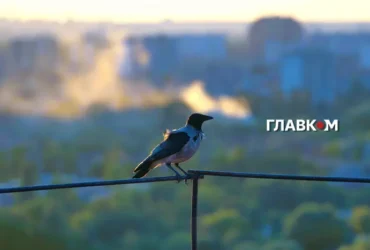 Якість повітря у Києві 25 вересня 2026 року: де дихається найлегше