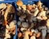 У Києві 22-27 вересня відбудуться продуктові ярмарки: адреси