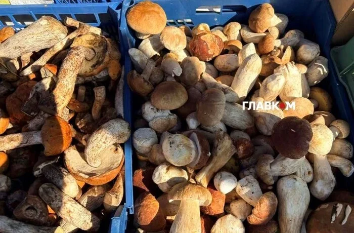 У Києві 22-27 вересня відбудуться продуктові ярмарки: адреси