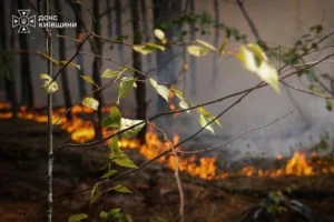На Київщині оголошено надзвичайний рівень пожежної небезпеки