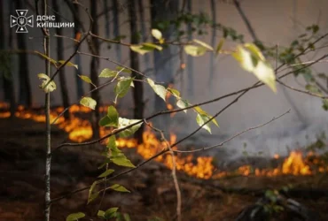 На Київщині оголошено надзвичайний рівень пожежної небезпеки