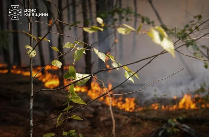 На Київщині оголошено надзвичайний рівень пожежної небезпеки