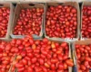 Де у Києві проходитимуть продуктові ярмарки 26-27 вересня (адреси)