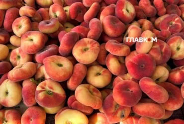Де у Києві проходитимуть продуктові ярмарки 8-13 вересня (адреси)