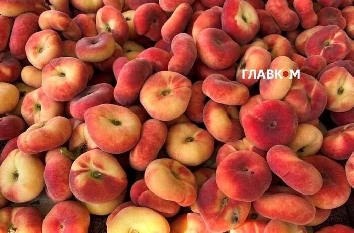 Де у Києві проходитимуть продуктові ярмарки 8-13 вересня (адреси)