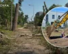 Теплотраса чи дерева? «Київтеплоенерго» нацькувало поліцію на захисників столичних Теремків