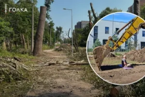 Теплотраса чи дерева? «Київтеплоенерго» нацькувало поліцію на захисників столичних Теремків
