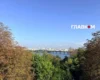 Київ та область накриють дощі: оголошено жовтий рівень небезпечності