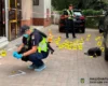 Понад 20 пострілів упритул: у Києві скоєно замах на директора клініки репродуктології