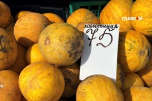 У Києві 12-13 вересня відбудуться продуктові ярмарки: адреси
