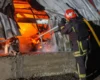 Росіяни знищили притулок для тварин на Одещині