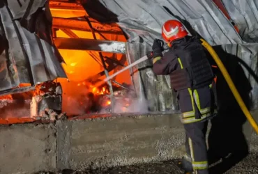 Росіяни знищили притулок для тварин на Одещині