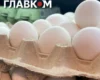 Яйця перестали різко дорожчати: де наприкінці вересня найдешевше купити десяток