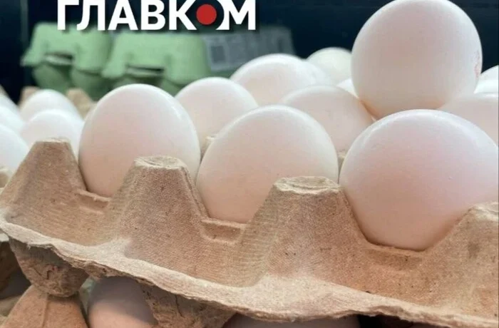Яйця перестали різко дорожчати: де наприкінці вересня найдешевше купити десяток